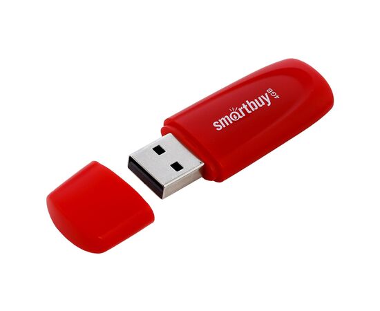  Флэш накопитель USB  4 Гб Smart Buy Scout (red) (212764) 