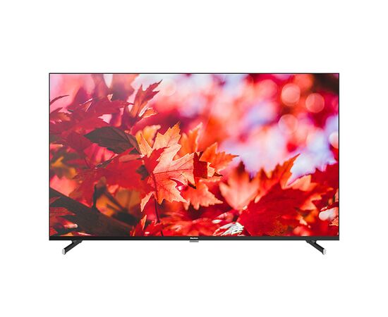  Телевизор BLACKTON Bt 50FSU42B Black 