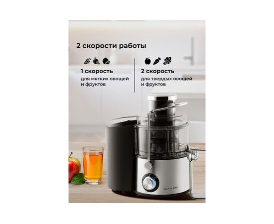  Соковыжималка Galaxy Line GL 0810 серебристый 